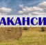 Вакансии - Сарапульский район