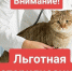 Льготная стерилизация домашних животных - Сарапульский район