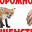 Месячник по бешенству. - Сарапульский район